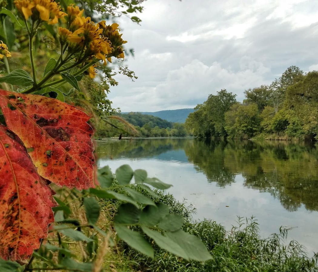 South Fork Fly Fishing Tournament